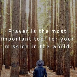 Meet your Posher, Janette